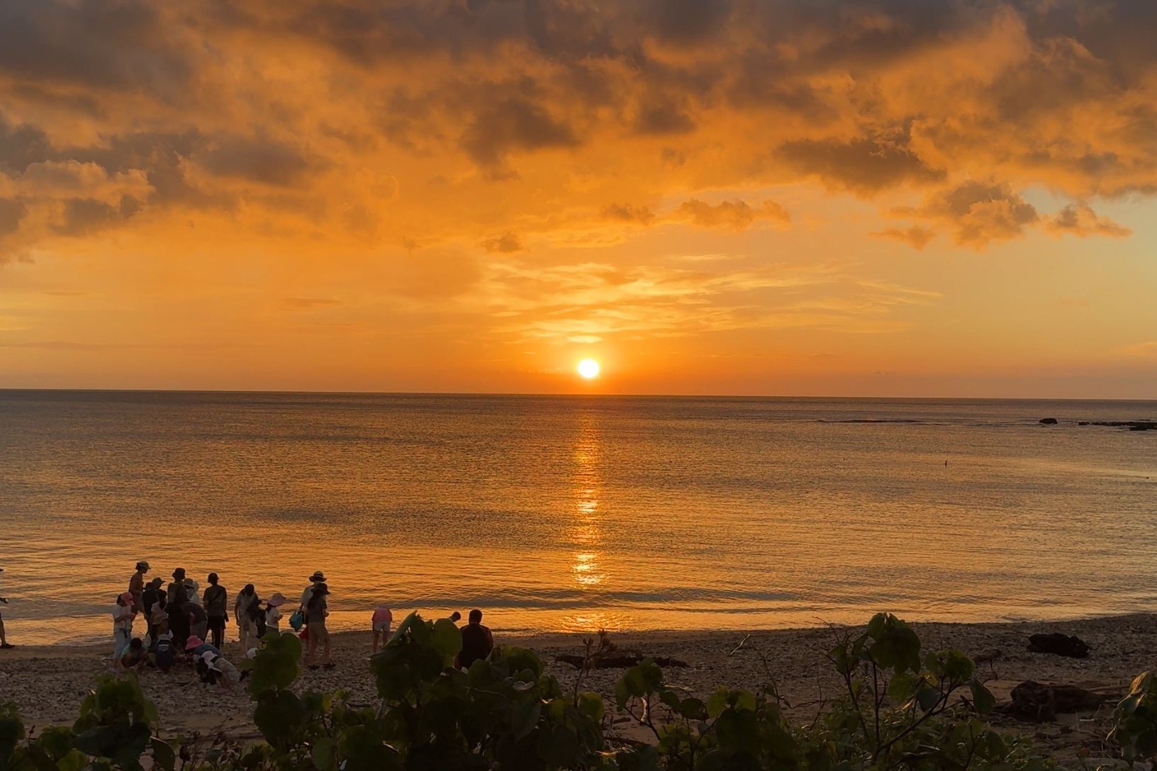 06A5FB80-2365-4873-9D75-65E8FBE09914 06A5FB80-2365-4873-9D75-65E8FBE09914