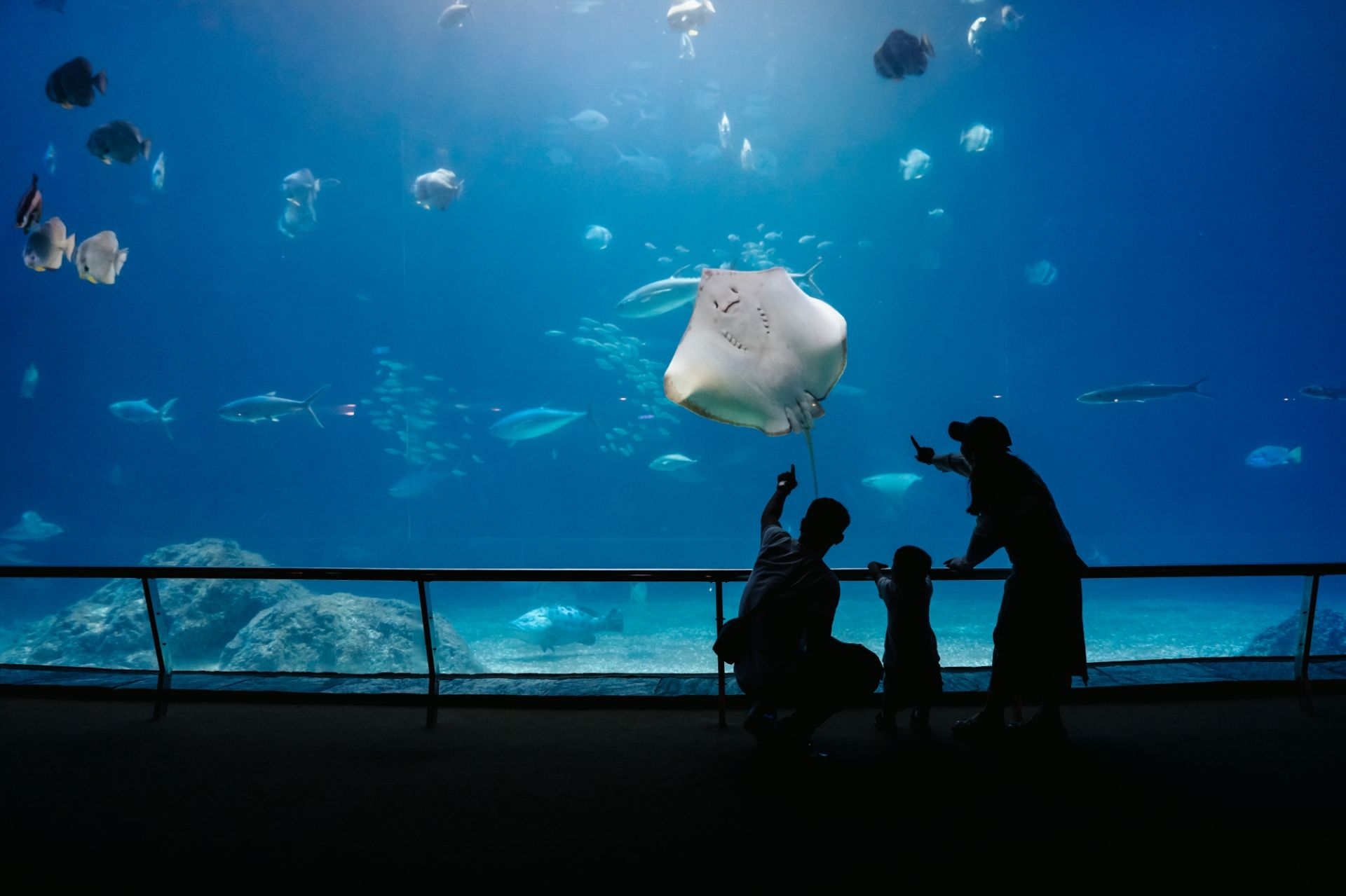 ALL_fac_25I25_6duEMHeyvT ALL_fac_25I25_6duEMHeyvT