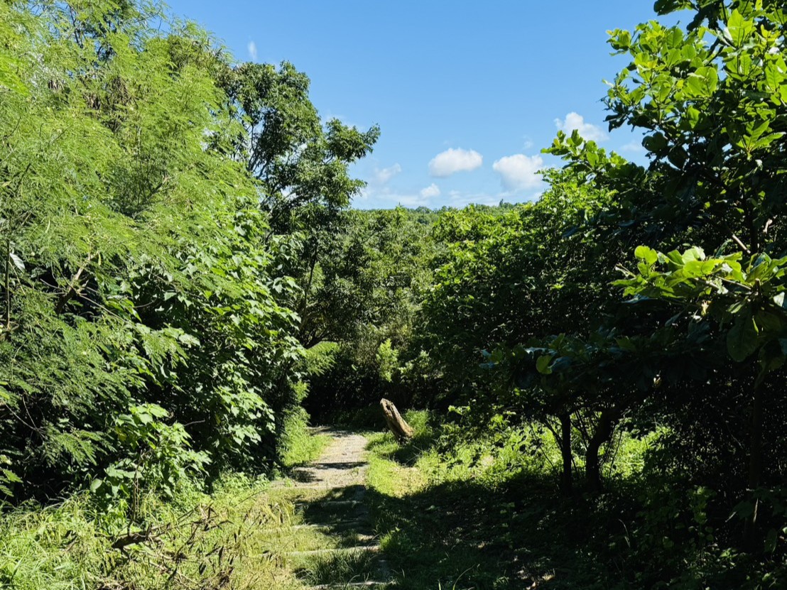 ALL_fac_25I25_NPtwumWoUM ALL_fac_25I25_NPtwumWoUM