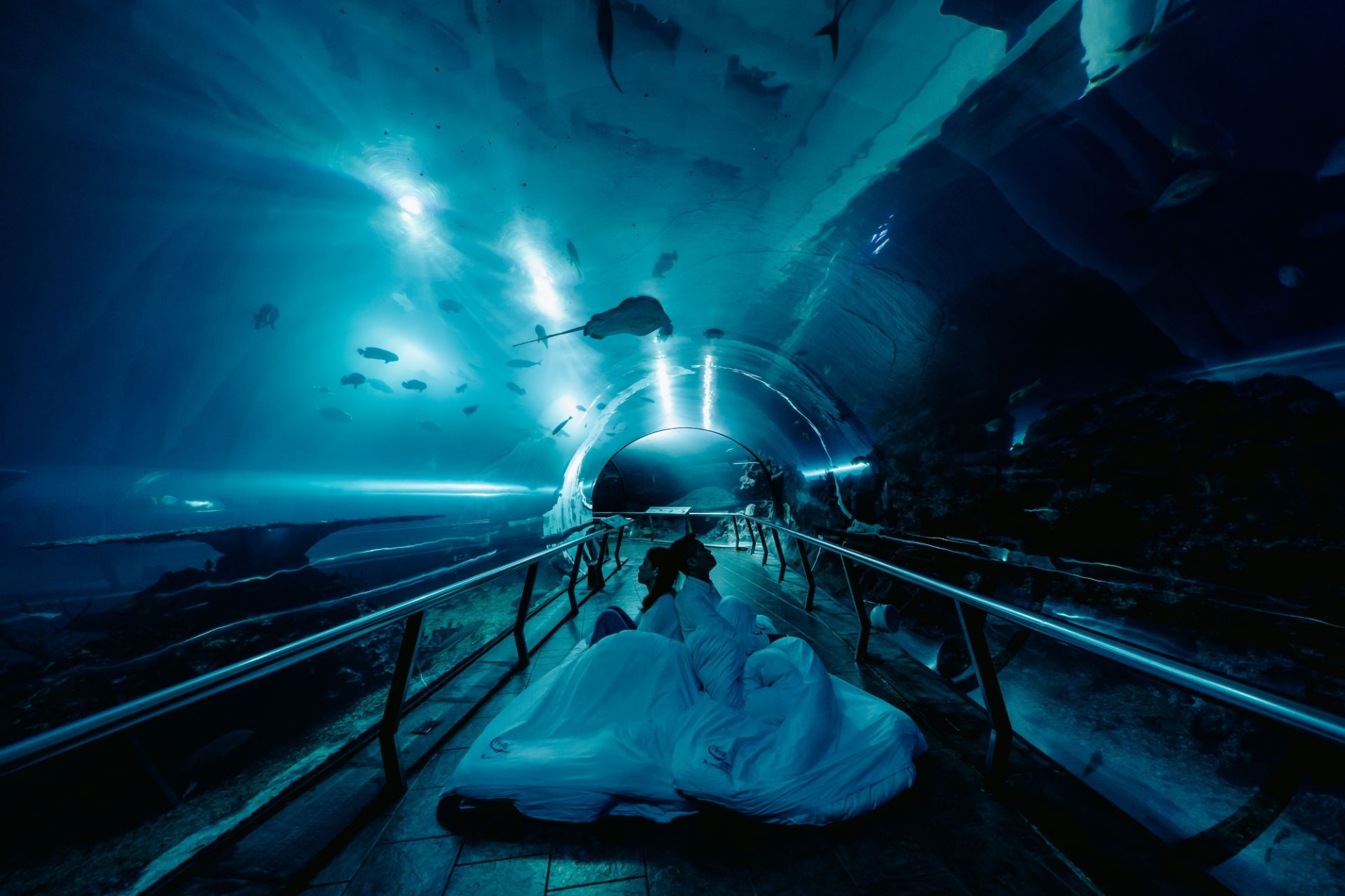 ALL_fac_25I25_bbzDA9TTxX ALL_fac_25I25_bbzDA9TTxX