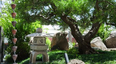 【2026夏季優惠】